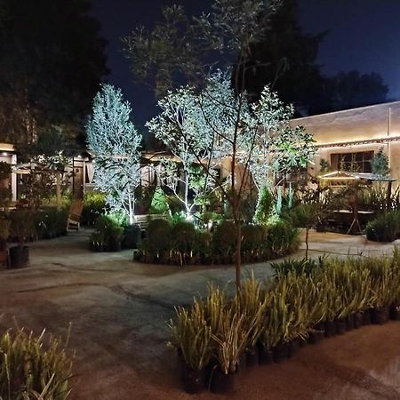 Utopia Hotel Boutique Мехіко Екстер'єр фото