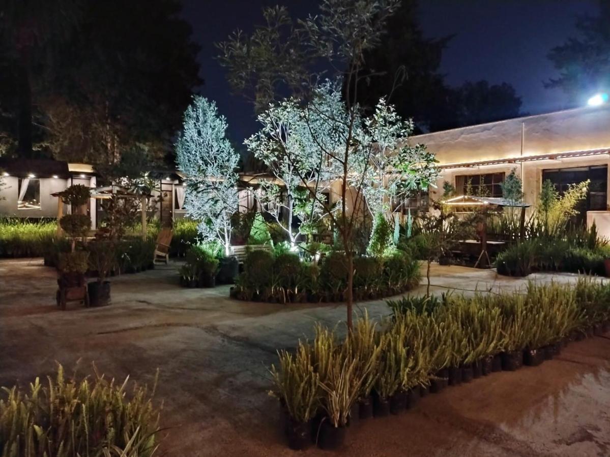 Utopia Hotel Boutique Мехіко Екстер'єр фото